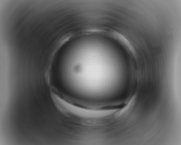 X0000092041433200709261942