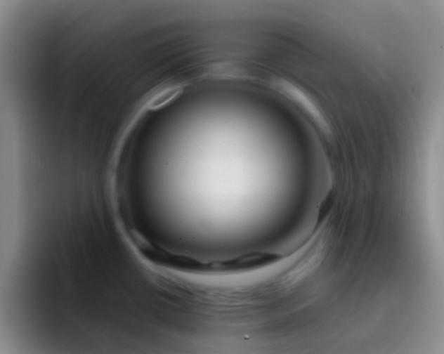 X0000092041434200709261942