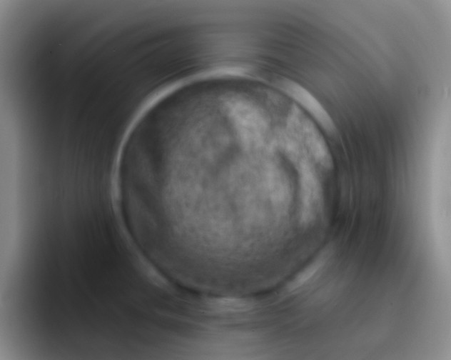 X0000092041436200709261942