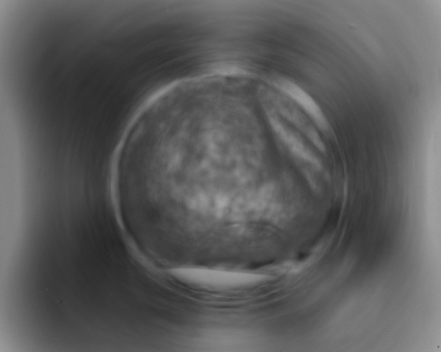 X0000092041439200709261942