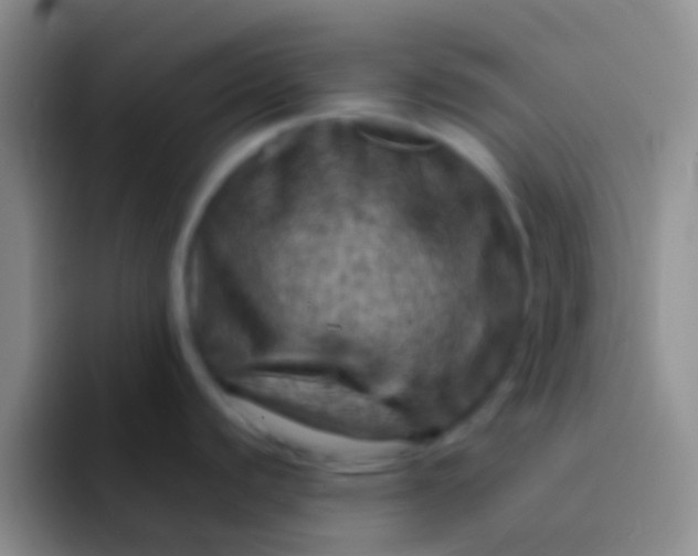 X0000092041440200709261942