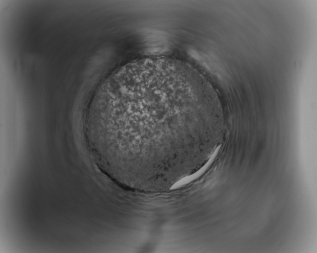 X0000092041441200709261942