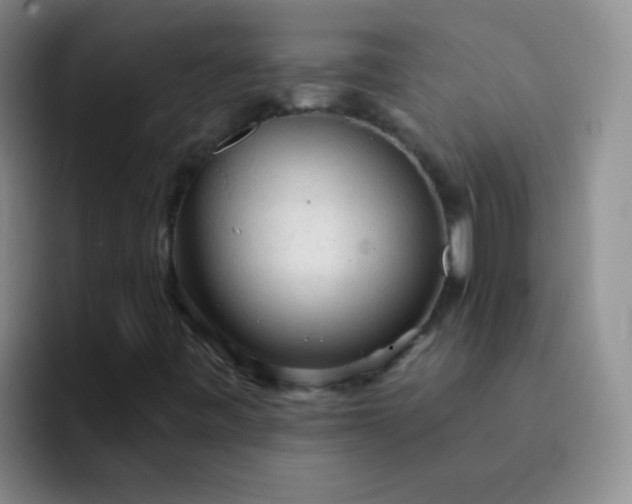 X0000092041443200709261942