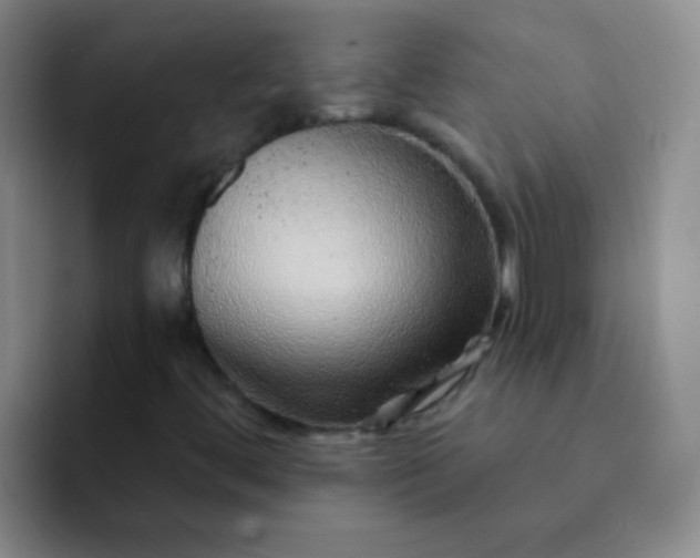 X0000092041444200709261942