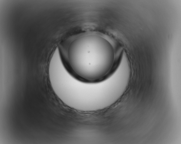 X0000092041445200709261942