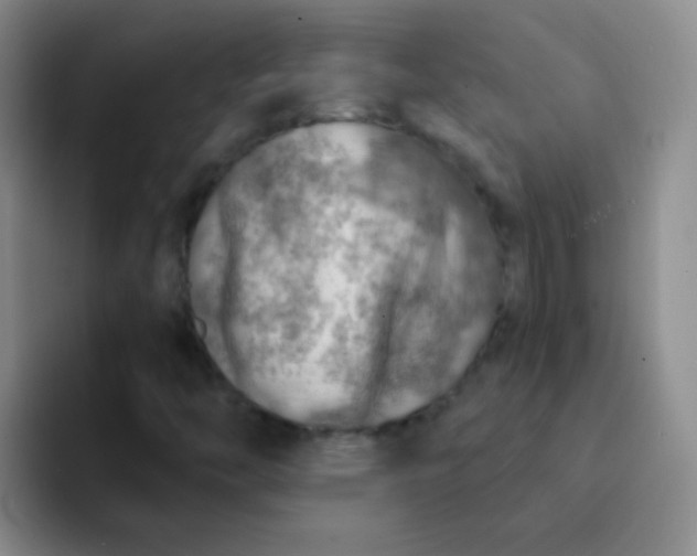 X0000092041446200709261942