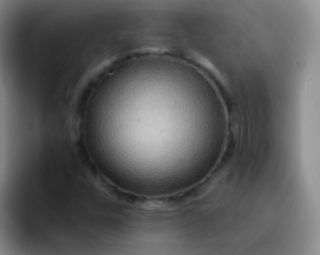 X0000092041448200709261942