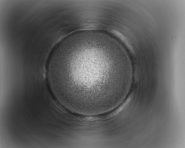 X0000092041449200709261942