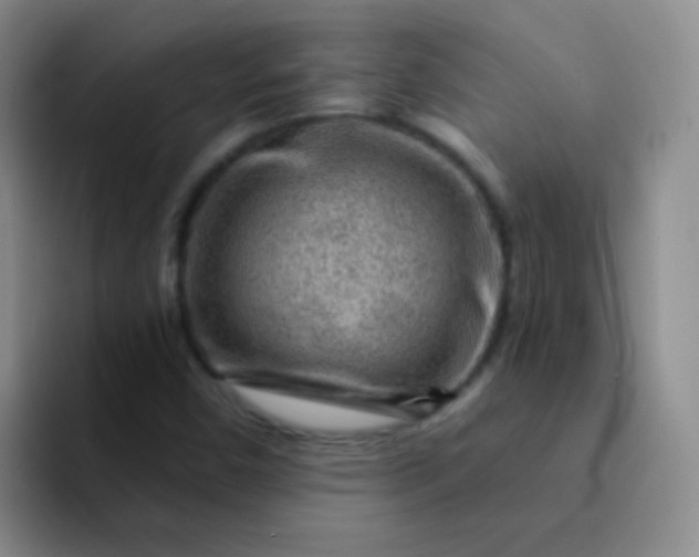 X0000092041450200709261942