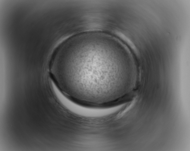 X0000092041453200709261942