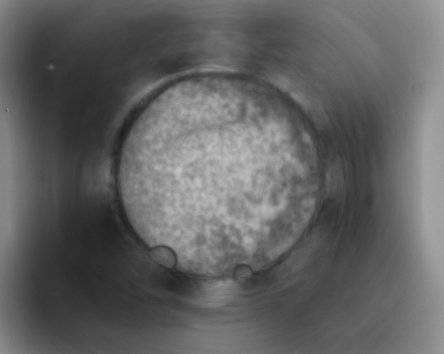 X0000092041454200709261942