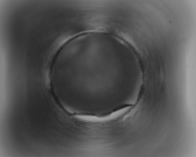 X0000092041455200709261942