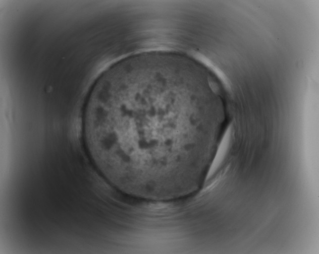 X0000092041459200709261942