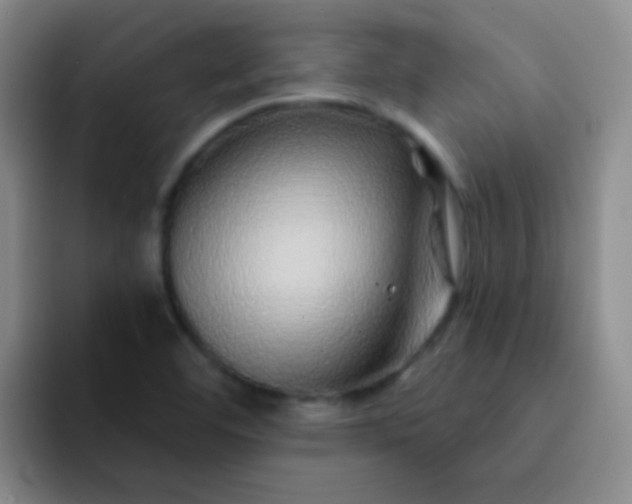 X0000092041460200709261942