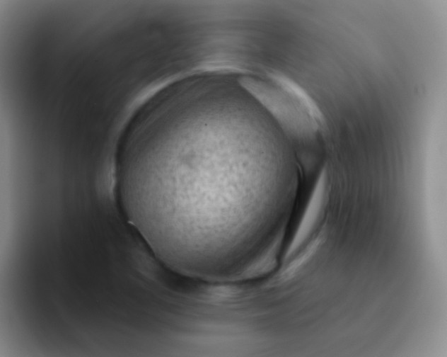 X0000092041461200709261942