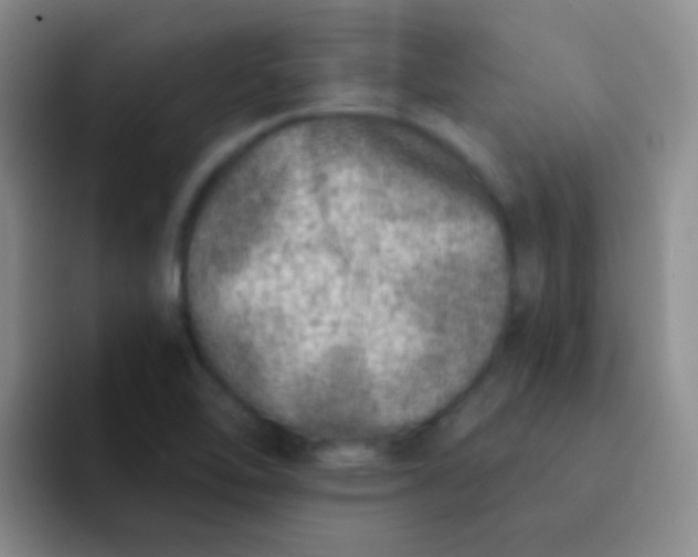 X0000092041462200709261942