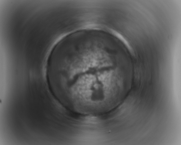 X0000092041463200709261942