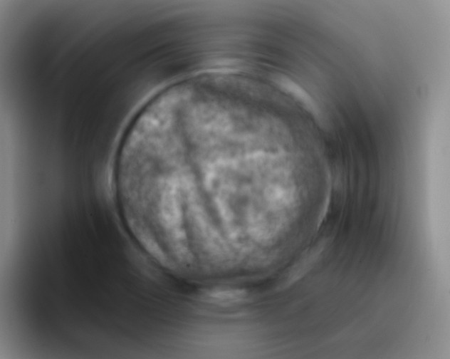 X0000092041466200709261942