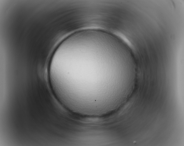 X0000092041468200709261942