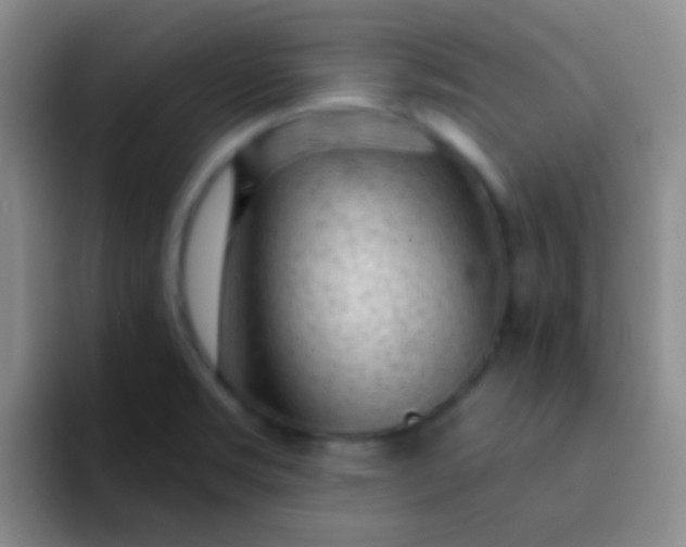 X0000092041469200709261942