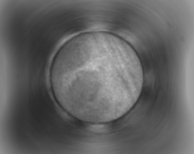 X0000092041470200709261941