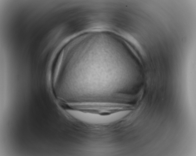 X0000092041472200709261941