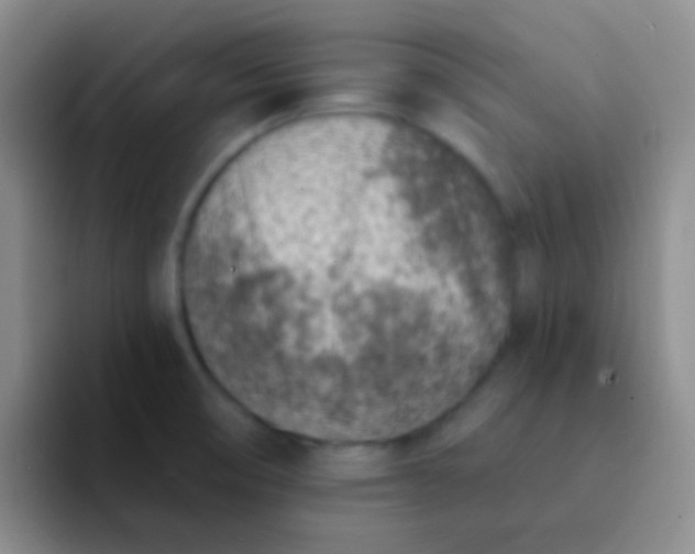 X0000092041474200709261941