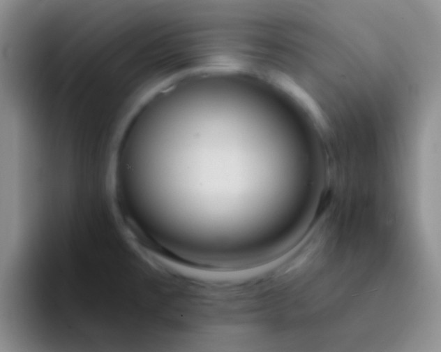 X0000092041477200709261941