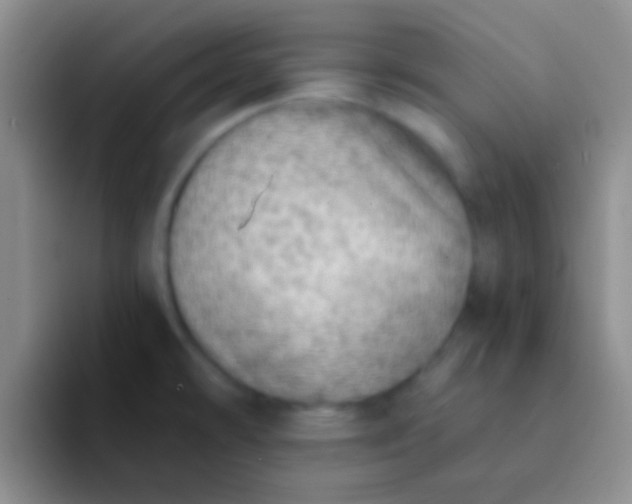 X0000092041478200709261941