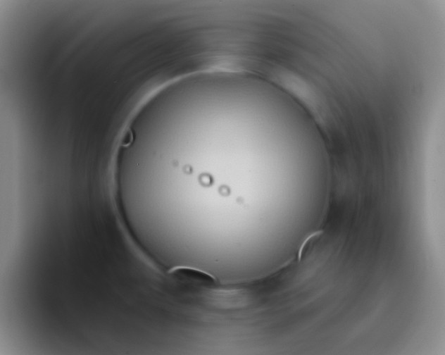 X0000092041479200709261941