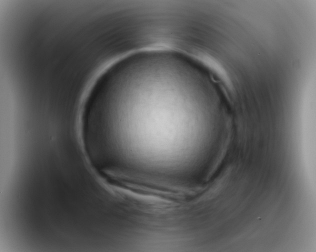 X0000092041480200709261941