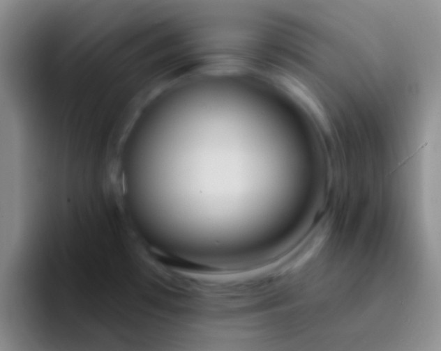 X0000092041481200709261941