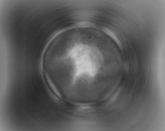 X0000092041482200709261941