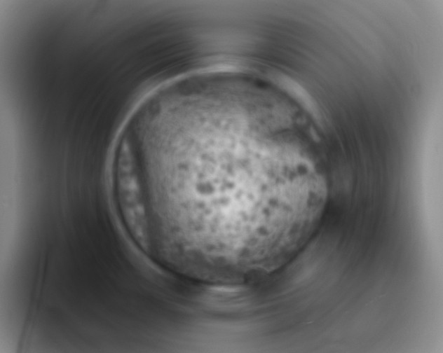 X0000092041483200709261941