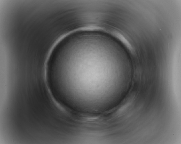 X0000092041484200709261941