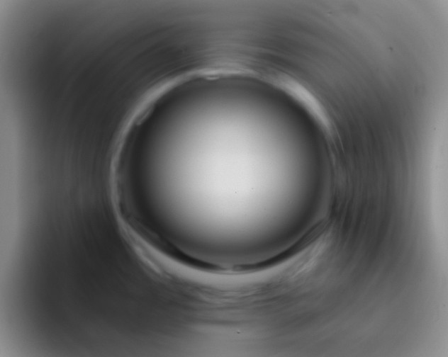 X0000092041485200709261941