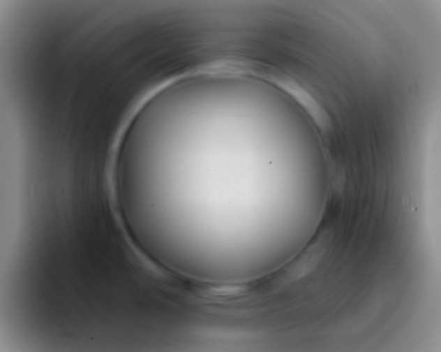 X0000092041486200709261941