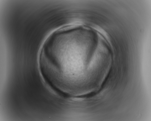 X0000092041488200709261941