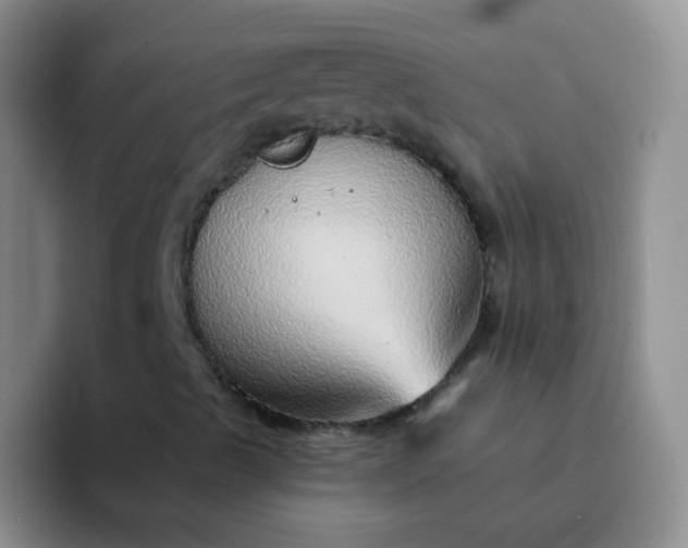 X0000092041489200709261941