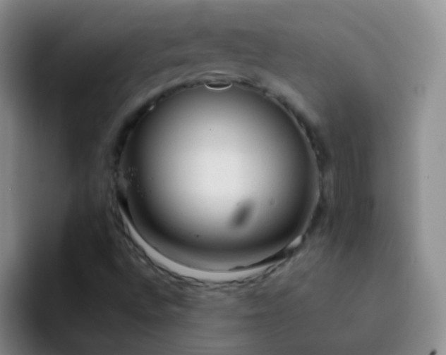 X0000092041496200709261941