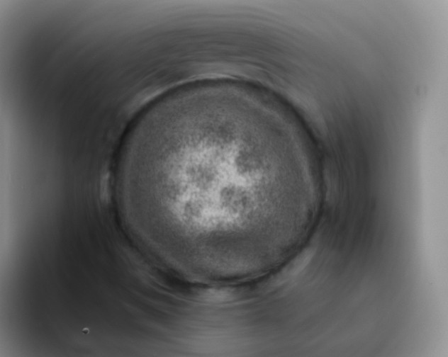 X0000092041497200709261941