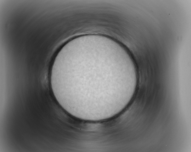 X0000092041498200709261941