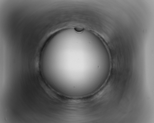 X0000092041499200709261941