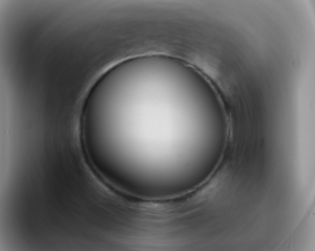 X0000092041500200709261941