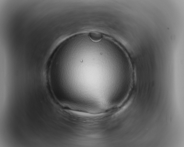 X0000092041501200709261941