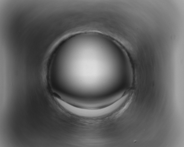 X0000092041502200709261941