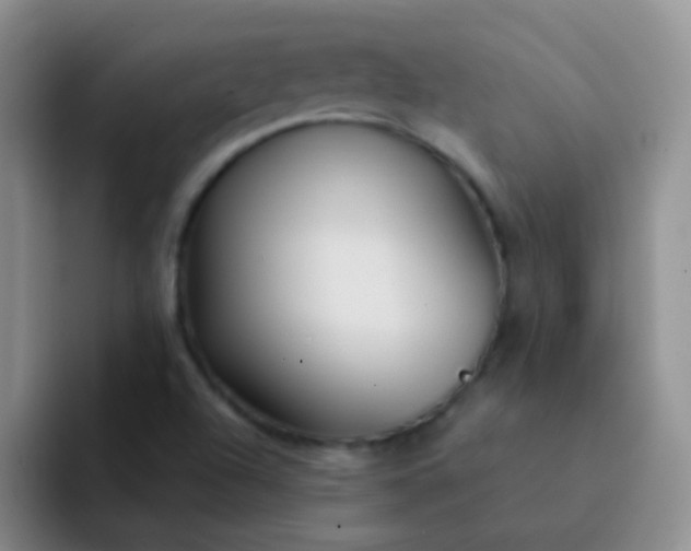 X0000092041504200709261941