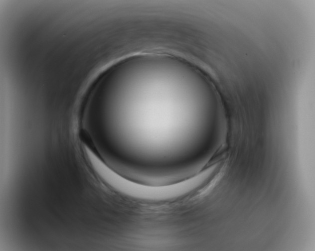 X0000092041506200709261941