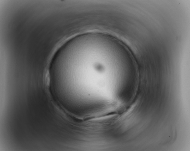 X0000092041509200709261941