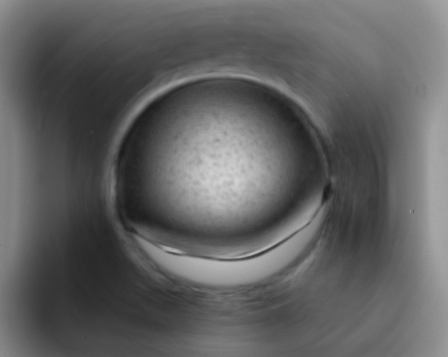 X0000092041511200709261941